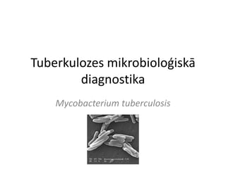 Tuberkulozes mikrobioloģiskā
        diagnostika
    Mycobacterium tuberculosis
 