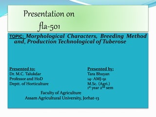Presentation on
fla-501
TOPIC: Morphological Characters, Breeding Method
and, Production Technological of Tuberose
Presented to: Presented by:
Dr. M.C. Talukdar Tara Bhuyan
Professor and HoD 14- AMJ-91
Deptt. of Horticulture M.Sc. (Agri.)
1st year 2nd sem
Faculty of Agriculture
Assam Agricultural University, Jorhat-13
 