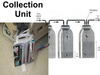 Collection Unit 