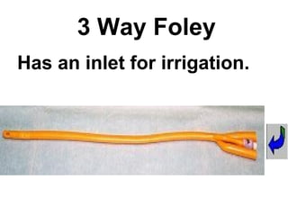 3 Way Foley Has an inlet for irrigation .  
