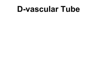 D-vascular Tube 