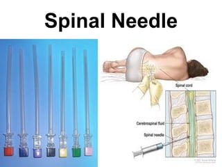 Spinal Needle 