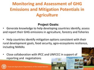 Tubiello Estimating GHG emissions FAO july 2012