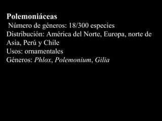 Polemoniáceas Número de géneros: 18/300 especies Distribución: América del Norte, Europa, norte de Asia, Perú y Chile Usos: ornamentales Géneros:  Phlox ,  Polemonium ,  Gilia 