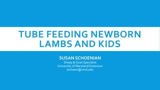 TUBE FEEDING NEWBORN
LAMBS AND KIDS
SUSAN SCHOENIAN
Sheep & Goat Specialist
University of Maryland Extension
sschoen@umd.edu
 