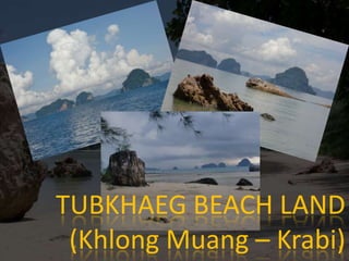 TUBKHAEG BEACH LAND (KhlongMuang – Krabi) 