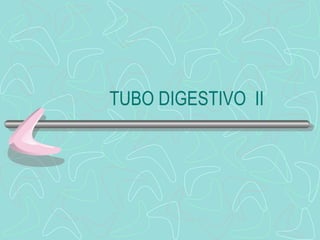 TUBO DIGESTIVO  II 