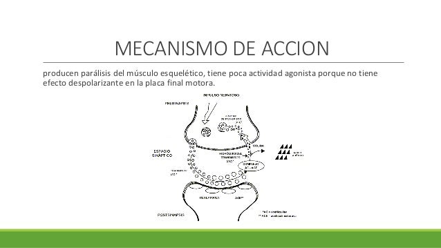 Bloqueante - bloqueante