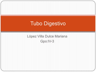 López Villa Dulce Mariana
Gpo:IV-3
Tubo Digestivo
 