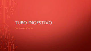 TUBO DIGESTIVO
ESTUDIO PRÁCTICO
 