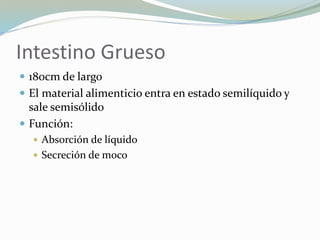 Intestino Grueso
 180cm de largo
 El material alimenticio entra en estado semilíquido y
sale semisólido
 Función:
 Absorción de líquido
 Secreción de moco
 