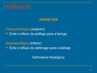 ESÔFAGO ESFINCTER Faringoesofágico  (superior) Evita o refluxo do esôfago para a faringe Gastroesofágico  (inferior)  Evita o refluxo do estômago para o esôfago Esfíncteres fisiológicos 