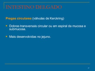 INTESTINO DELGADO Pregas circulares  (válvulas de Kerckring) Dobras transversais circular ou em espiral da mucosa e submucosa.  Mais desenvolvidas no jejuno. 