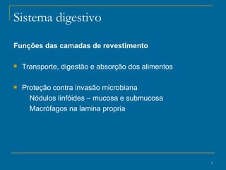Sistema digestivo Funções das camadas de revestimento Transporte, digestão e absorção dos alimentos Proteção contra invasão microbiana Nódulos linfóides – mucosa e submucosa Macrófagos na lamina propria 
