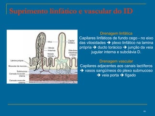 Drenagem linfática Capilares linfáticos de fundo cego - no eixo das vilosidades    plexo linfático na lamina própria    ducto torácico    junção da veia jugular interna e subclávia D. Drenagem vascular Capilares adjacentes aos canais lactíferos    vasos sangüíneos do plexo submucoso   veia porta    fígado Suprimento linfático e vascular do ID  