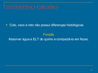 INTESTINO GROSSO Colo, ceco e reto não possui diferenças histológicas Função  Absorver água e ELT do quimo e compactá-lo em fezes.  