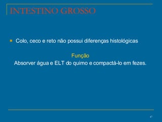 INTESTINO GROSSO Colo, ceco e reto não possui diferenças histológicas Função  Absorver água e ELT do quimo e compactá-lo em fezes.  