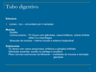 Tubo digestivo Estrutura   Lúmen – luz – circundado por 4 camadas: Mucosa   Epitélio  Lamina própria – TC frouxo com glândulas, vasos linfáticos, nódulo linfóide (MALT) e macrófagos Muscular da mucosa – interna circular e externa longitudinal Submucosa TC denso com vasos sanguíneos, linfáticos e gânglios linfóides  Glândulas ausentes, exceto no esôfago e duodeno Plexo nervoso submucoso de Meissner – motilidade da mucosa e secreção glandular 