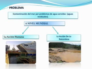 Contaminación del mar por problemas de agua servidas (aguas
residuales).
A NIVEL MUNDIAL
La Acción Humana La Acción De La
...