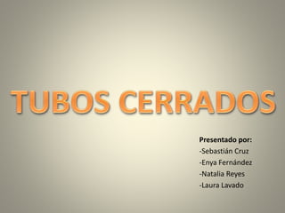Presentado por: 
-Sebastián Cruz 
-Enya Fernández 
-Natalia Reyes 
-Laura Lavado 
 