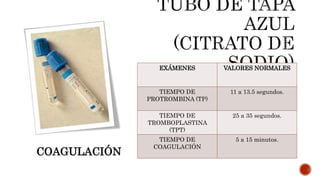 Tubos de muestra | PPTX