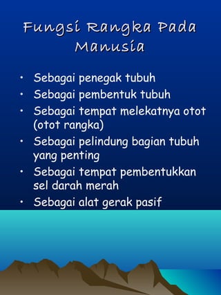 Fungsi Rangka PadaFungsi Rangka Pada
ManusiaManusia
• Sebagai penegak tubuh
• Sebagai pembentuk tubuh
• Sebagai tempat melekatnya otot
(otot rangka)
• Sebagai pelindung bagian tubuh
yang penting
• Sebagai tempat pembentukkan
sel darah merah
• Sebagai alat gerak pasif
 