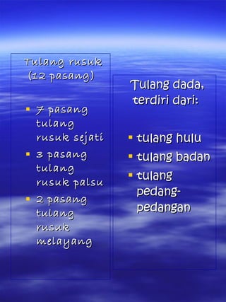 Tulang rusukTulang rusuk
(12 pasang)(12 pasang)
 7 pasang7 pasang
tulangtulang
rusuk sejatirusuk sejati
 3 pasang3 pasang
tulangtulang
rusuk palsurusuk palsu
 2 pasang2 pasang
tulangtulang
rusukrusuk
melayangmelayang
Tulang dada,Tulang dada,
terdiri dari:terdiri dari:
 tulang hulutulang hulu
 tulang badantulang badan
 tulangtulang
pedang-pedang-
pedanganpedangan
 