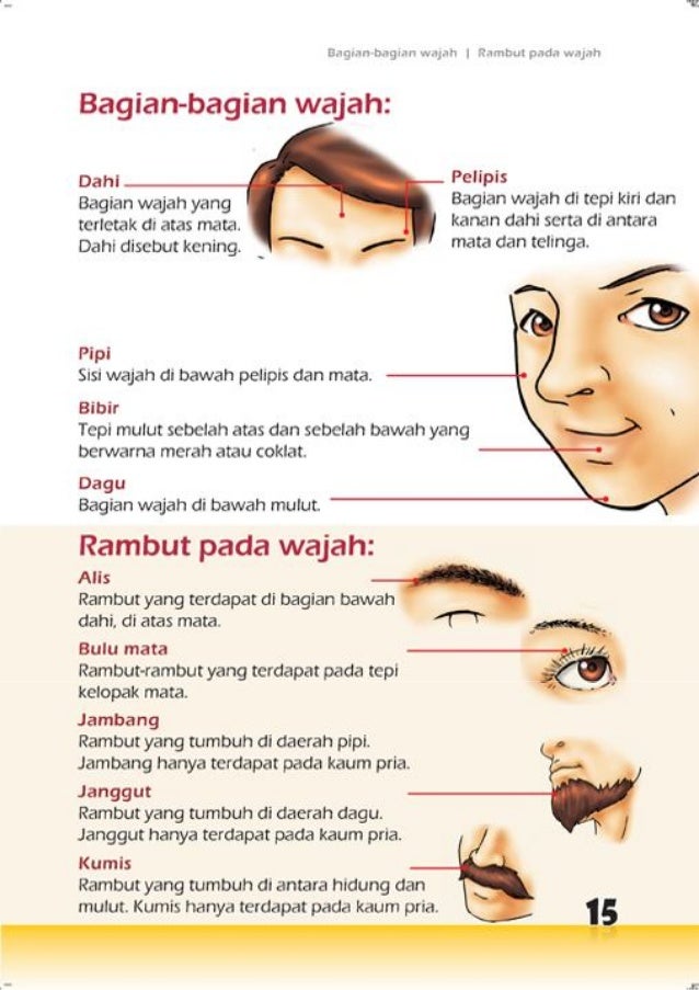 Tubuh manusia Tubuh manusia