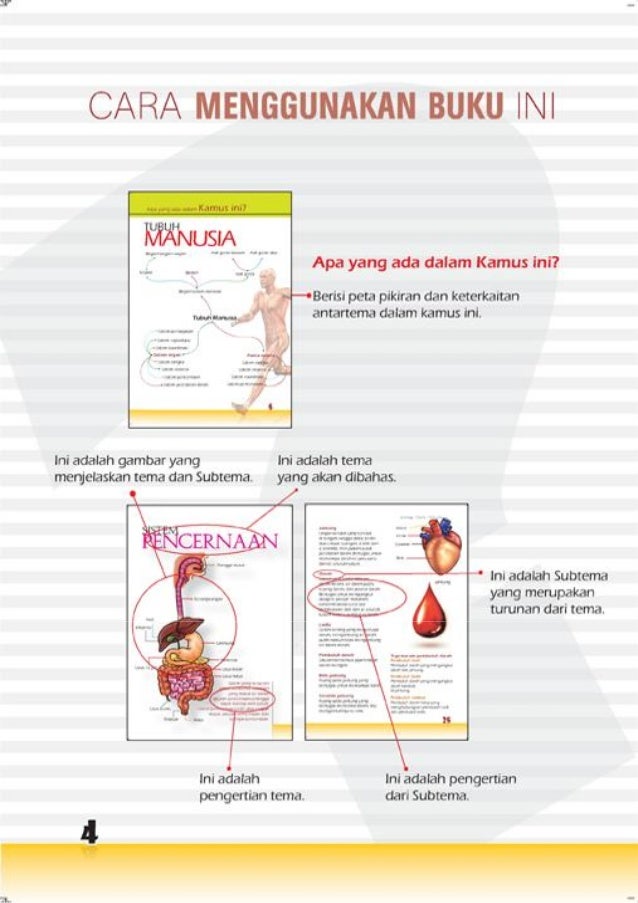 Tubuh Manusia 57206456
