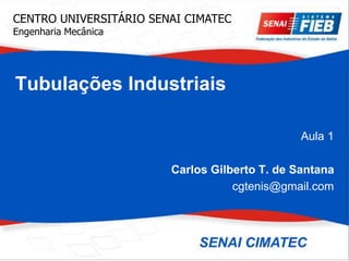 Tubulações Industriais
Aula 1
Carlos Gilberto T. de Santana
cgtenis@gmail.com
CENTRO UNIVERSITÁRIO SENAI CIMATEC
Engenharia Mecânica
 