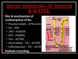 RENAL HANDLING OF SODIUM
& WATER.
 Site & mechanism of
reabsorption of Na.
 Proximal tubule – 67% (active)
 LH – 20%
 DTS – PASSIVE
 ATS – PASSIVE
 TAL – ACTIVE.
 Distal tubule – 7% -- ACTIVE
 Collecting duct. – 5% -- ACTIVE
 Sodium recycling
 