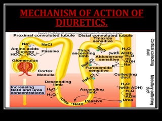 MECHANISM OF ACTION OF
DIURETICS.
 