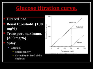 Glucose titration curve.
 Filtered load
 Renal threshold. (180
mg%)
 Transport maximum.
(350 mg %)
 Splay.
 Causes.
 Heterogeneity
 Variability in TmG of the
Nephron.
 