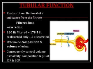 TUBULAR FUNCTION
 Reabsorption: Removal of a
substance from the filtrate
Filtered load
--excretion.
 180 lit filtered – 178.5 lit
reabsorbed only 1.5 lit excreted.
 Determine composition &
volume of urine.
 Consequently control volume,
osmolality, composition & pH of
ICF & ECF.
 