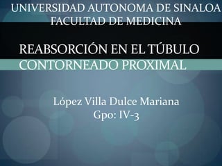 UNIVERSIDAD AUTONOMA DE SINALOA
      FACULTAD DE MEDICINA

 REABSORCIÓN EN EL TÚBULO
 CONTORNEADO PROXIMAL

      López Villa Dulce Mariana
             Gpo: IV-3
 