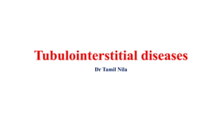 Tubulointerstitial diseases
Dr Tamil Nila
 