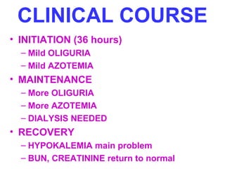CLINICAL COURSE
• INITIATION (36 hours)
– Mild OLIGURIA
– Mild AZOTEMIA
• MAINTENANCE
– More OLIGURIA
– More AZOTEMIA
– DIALYSIS NEEDED
• RECOVERY
– HYPOKALEMIA main problem
– BUN, CREATININE return to normal
 