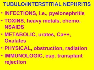 TUBULO/INTERSTITIAL NEPHRITIS
• INFECTIONS, i.e., pyelonephritis
• TOXINS, heavy metals, chemo,
NSAIDS
• METABOLIC, urates, Ca++,
Oxalates
• PHYSICAL, obstruction, radiation
• IMMUNOLOGIC, esp. transplant
rejection
 