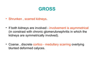 GROSS
• Shrunken , scarred kidneys.
• If both kidneys are involved - involvement is asymmetrical
(in constrast with chronic glomerulonephritis in which the
kidneys are symmetrically involved).
• Coarse , discrete cortico - medullary scarring overlying
blunted deformed calyces.
 