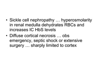 • Sickle cell nephropathy … hyperosmolarity
in renal medulla dehydrates RBCs and
increases IC HbS levels
• Diffuse cortical necrosis … obs
emergency, septic shock or extensive
surgery … sharply limited to cortex
 