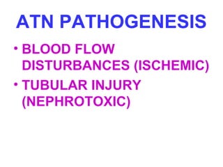 ATN PATHOGENESIS
• BLOOD FLOW
DISTURBANCES (ISCHEMIC)
• TUBULAR INJURY
(NEPHROTOXIC)
 