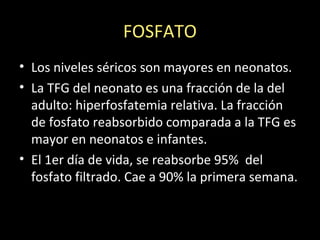 FOSFATO
• Los niveles séricos son mayores en neonatos.
• La TFG del neonato es una fracción de la del
adulto: hiperfosfatemia relativa. La fracción
de fosfato reabsorbido comparada a la TFG es
mayor en neonatos e infantes.
• El 1er día de vida, se reabsorbe 95% del
fosfato filtrado. Cae a 90% la primera semana.
 