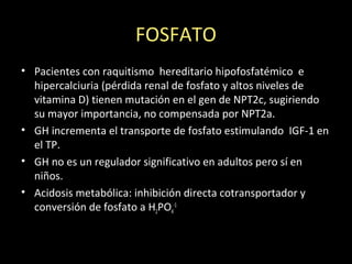 FOSFATO
• Pacientes con raquitismo hereditario hipofosfatémico e
hipercalciuria (pérdida renal de fosfato y altos niveles de
vitamina D) tienen mutación en el gen de NPT2c, sugiriendo
su mayor importancia, no compensada por NPT2a.
• GH incrementa el transporte de fosfato estimulando IGF-1 en
el TP.
• GH no es un regulador significativo en adultos pero sí en
niños.
• Acidosis metabólica: inhibición directa cotransportador y
conversión de fosfato a H2PO4
-1
 