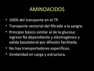AMINOACIDOS
• 100% del transporte en el TP.
• Transporte vectorial del filtrado a la sangre.
• Principio básico similar al de la glucosa:
ingreso Na dependiente y electrogénico y
salida basolateral por difusión facilitada.
• No hay transportadores específicos.
• Similaridad en carga y estructura.
 