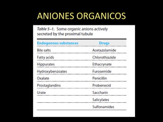 ANIONES ORGANICOS
 