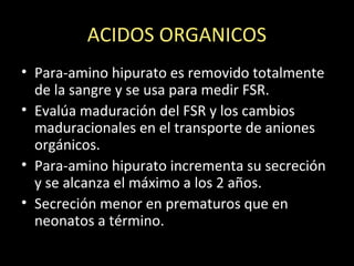 ACIDOS ORGANICOS
• Para-amino hipurato es removido totalmente
de la sangre y se usa para medir FSR.
• Evalúa maduración del FSR y los cambios
maduracionales en el transporte de aniones
orgánicos.
• Para-amino hipurato incrementa su secreción
y se alcanza el máximo a los 2 años.
• Secreción menor en prematuros que en
neonatos a término.
 