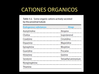CATIONES ORGANICOS
 