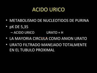 ACIDO URICO
• METABOLISMO DE NUCLEOTIDOS DE PURINA
• pK DE 5,35
– ACIDO URICO URATO + H
• LA MAYORIA CIRCULA COMO ANION URATO
• URATO FILTRADO MANEJADO TOTALMENTE
EN EL TUBULO PROXIMAL
 