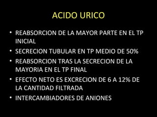 ACIDO URICO
• REABSORCION DE LA MAYOR PARTE EN EL TP
INICIAL
• SECRECION TUBULAR EN TP MEDIO DE 50%
• REABSORCION TRAS LA SECRECION DE LA
MAYORIA EN EL TP FINAL
• EFECTO NETO ES EXCRECION DE 6 A 12% DE
LA CANTIDAD FILTRADA
• INTERCAMBIADORES DE ANIONES
 