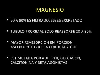 MAGNESIO
 70 A 80% ES FILTRADO, 3% ES EXCRETADO
 TUBULO PROXIMAL SOLO REABSORBE 20 A 30%
 MAYOR REABSORCION EN PORCION
ASCENDENTE GRUESA CORTICAL Y TCD
 ESTIMULADA POR ADH, PTH, GLUCAGON,
CALCITONINA Y BETA AGONISTAS
 